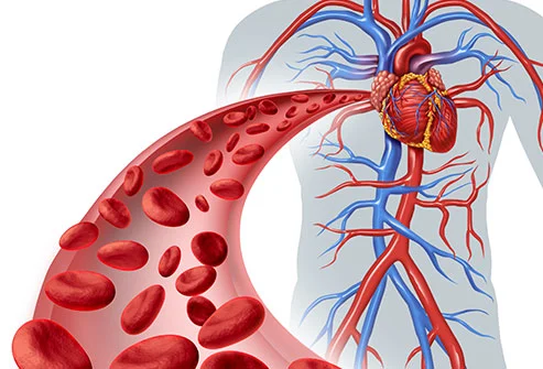 hemoglobin count